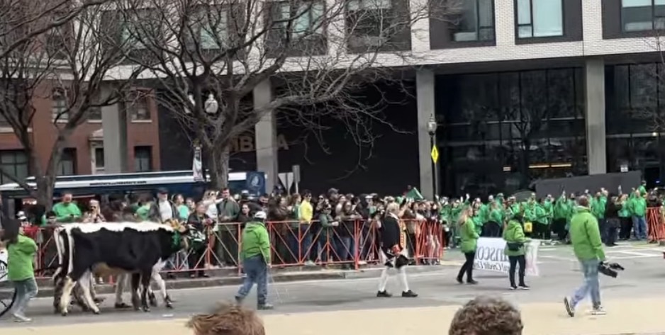 The Southie Switch-Up: Boston’s Historic 2026 St. Paddy’s&nbsp;Takeover